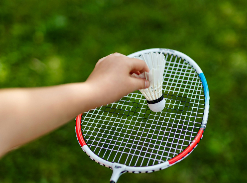 Beach Paddle Set and Badminton Set
